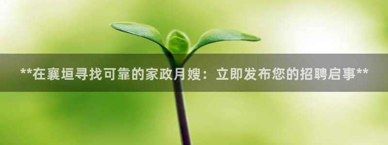杏悦平台线路测速