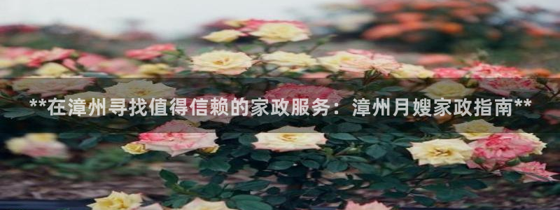 杏悦招商地址