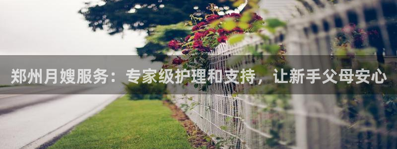 杏悦娱乐是什么