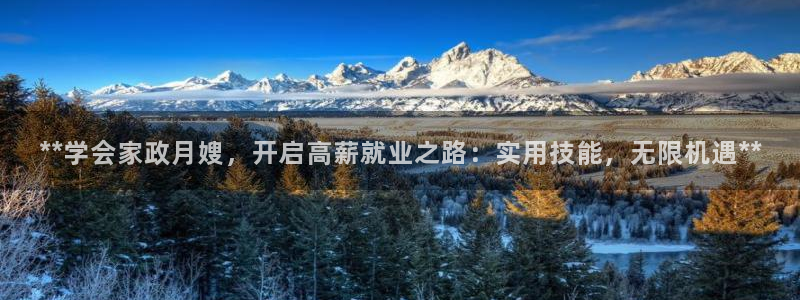 杏悦平台代理怎么赚钱快