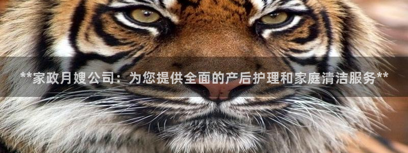 杏悦平台代理怎么做