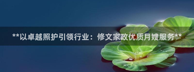 杏悦平台代理怎么样啊