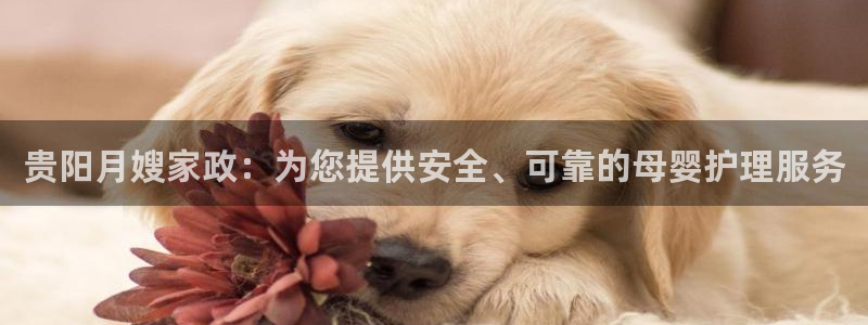 杏悦平台代理怎么样赚钱