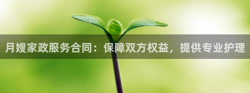 杏悦平台代理怎么样