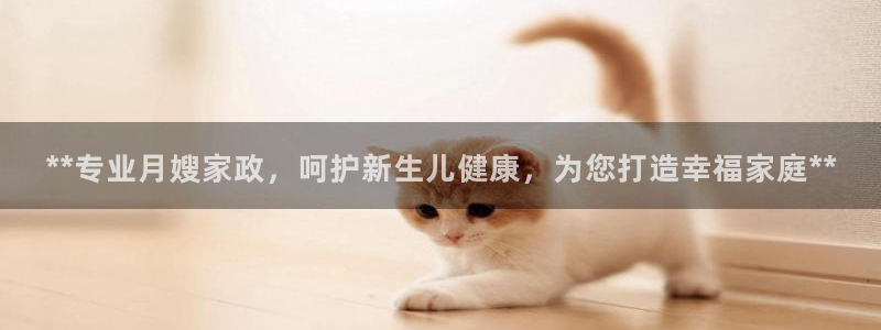杏悦平台招商怎么样