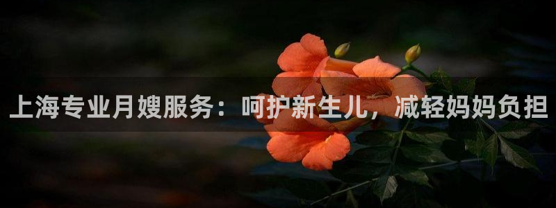杏悦官方平台官网