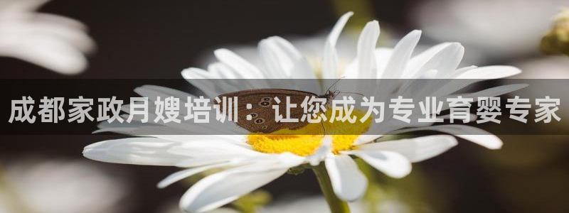 杏悦平台代理怎么样可靠吗