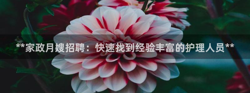 杏悦平台开户地址是什么