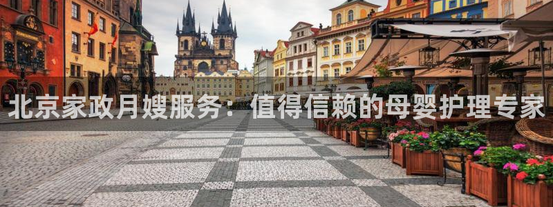 杏悦官网