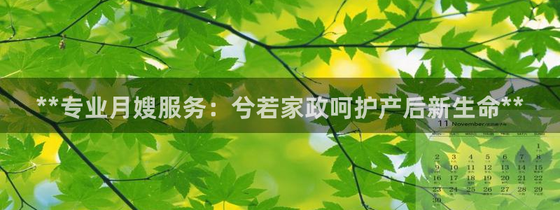 杏悦平台代理怎么做的