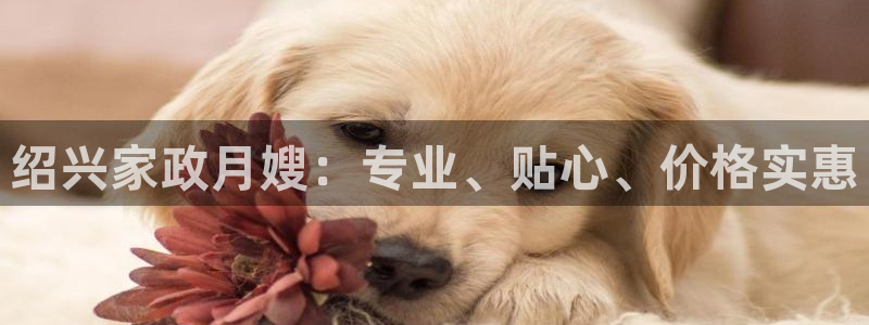 杏悦平台可靠吗是真的吗知乎