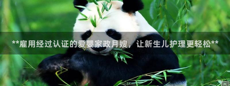 杏悦平台代理怎么赚钱