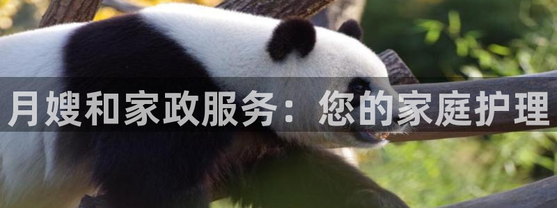 杏悦官方平台官网下载