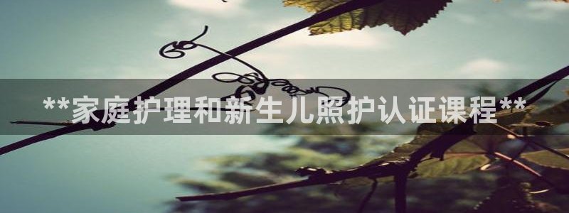杏悦登录网址