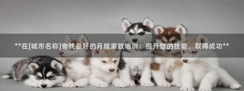 杏悦平台代理怎么样可靠吗