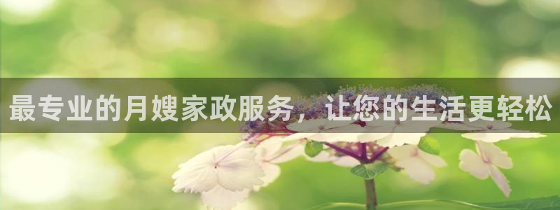 杏悦平台代理注册