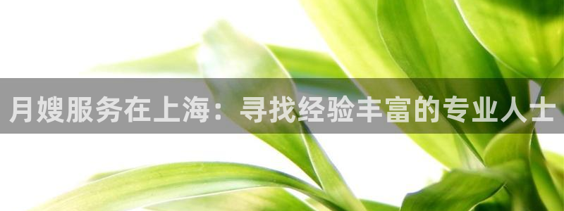 杏悦平台登录网址是多少