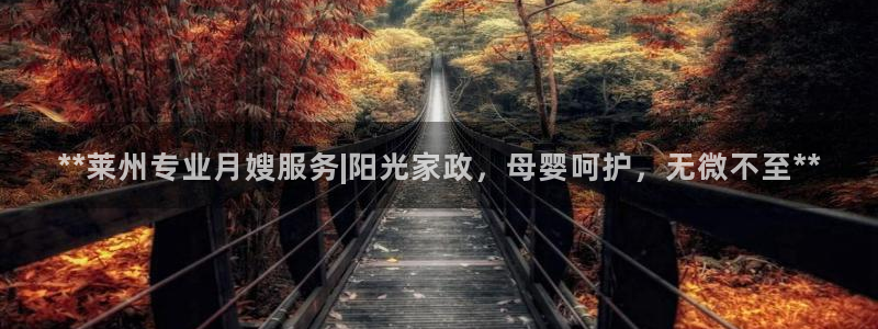 杏悦娱乐怎么玩