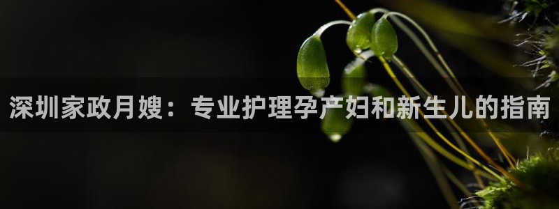 杏悦平台