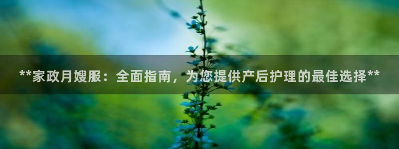 杏悦平台登录