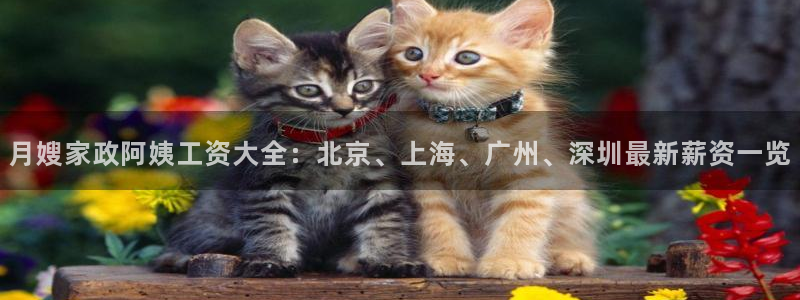 杏悦平台招商电话