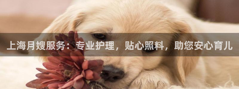 杏悦平台开户地址