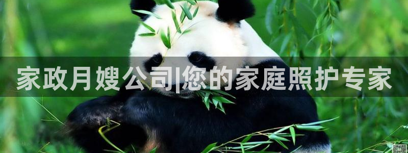 杏悦官网登录入口网址是多少
