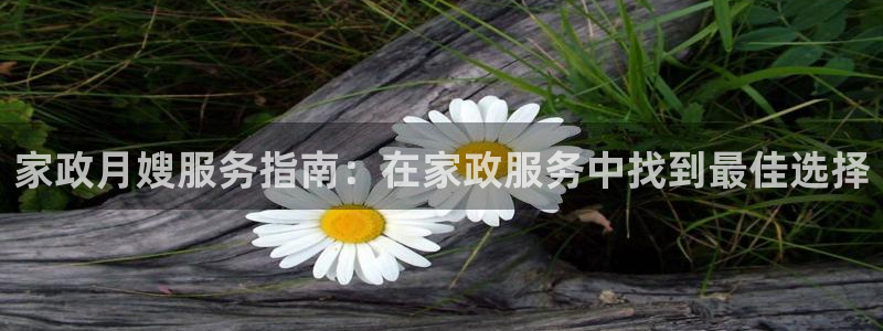 杏悦平台官网注册账号