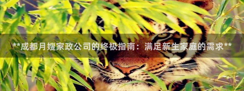 杏悦注册官网