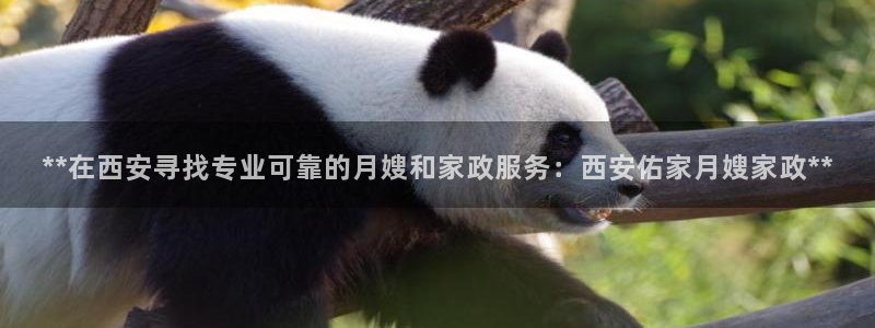 杏悦注册官网