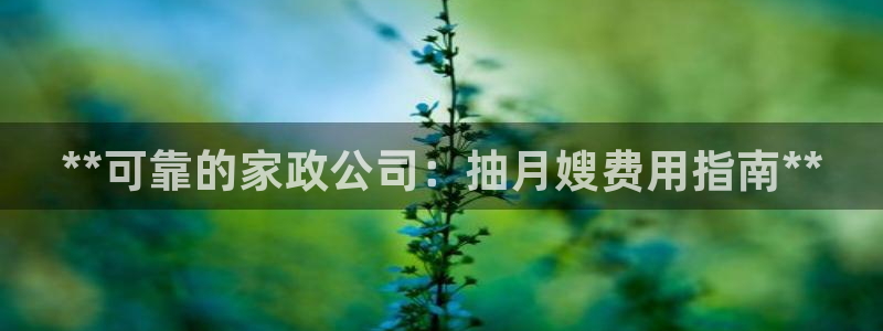 杏悦平台代理怎么样赚钱