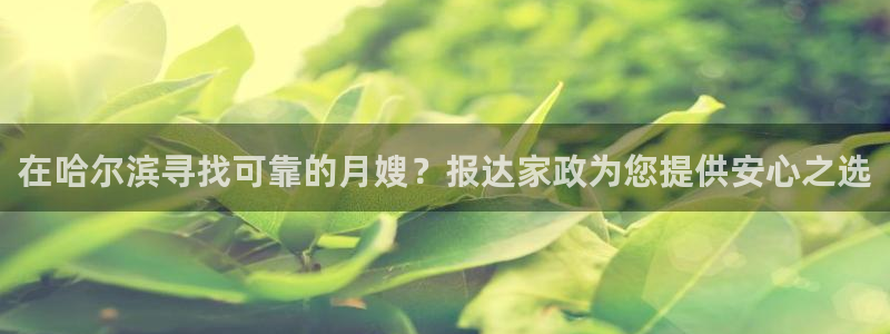 杏悦平台代理怎么样可靠吗