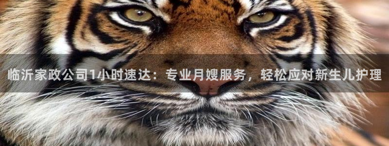 杏悦娱乐是什么