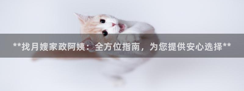 杏悦平台代理注册