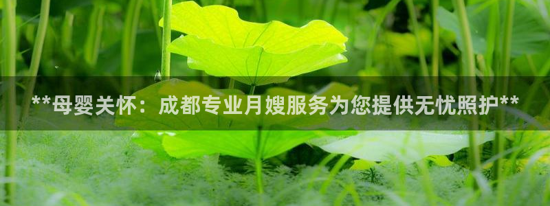 杏悦官网注册信息查询