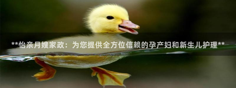 杏悦平台官网注册账号