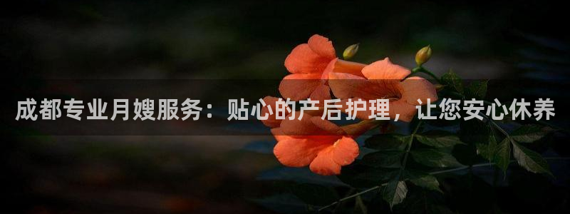 杏悦平台代理怎么做赚钱