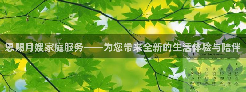 杏悦平台登录网址查询