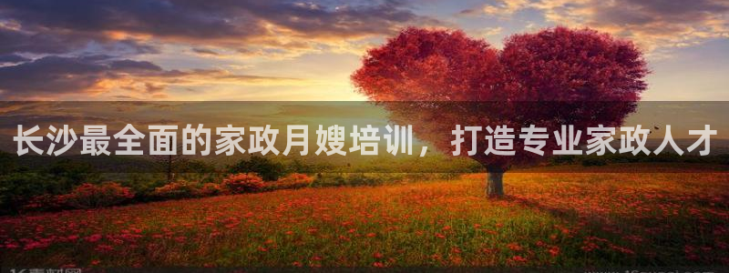 杏悦平台注册地址