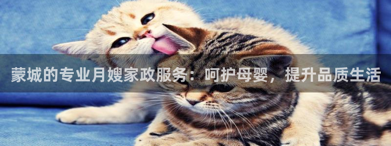 杏悦平台代理怎么样