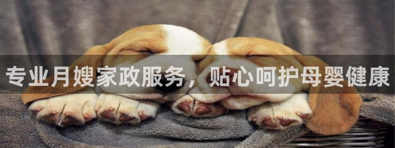 杏悦平台开户地址怎么改