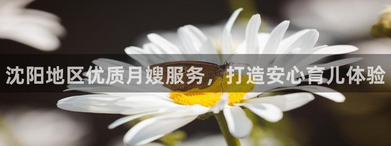 杏悦平台线路测速