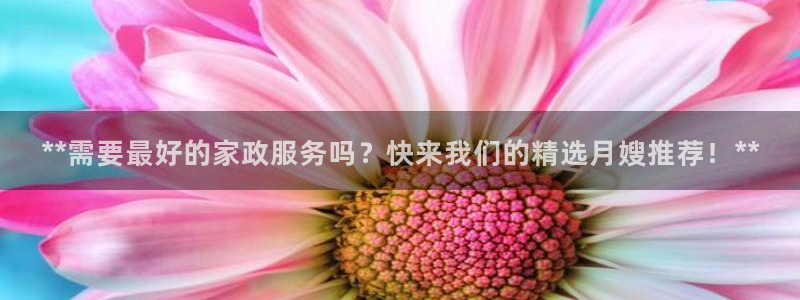 杏悦平台代理怎么做