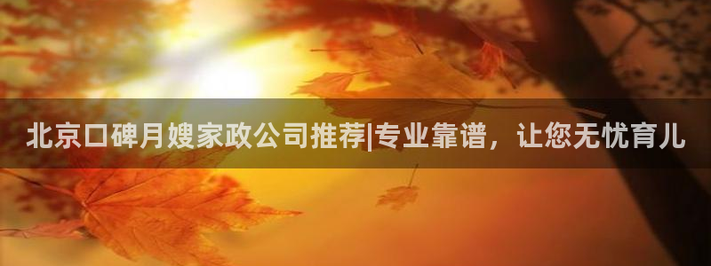 杏悦官方平台官网入口