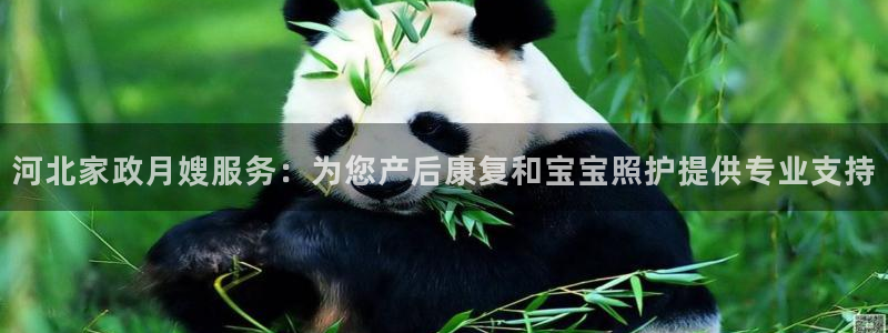 杏悦官方平台是正品吗知乎