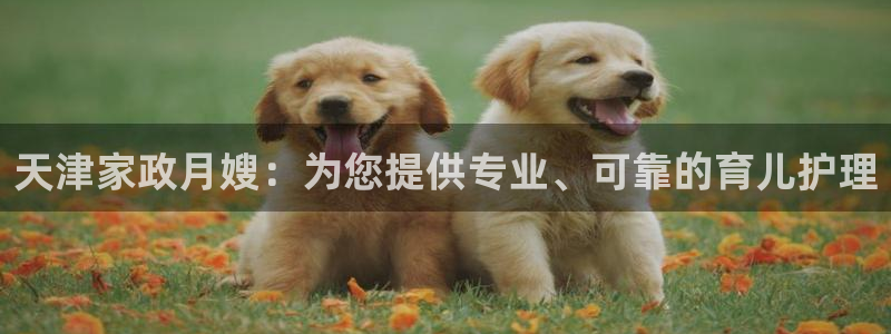 杏悦是什么平台
