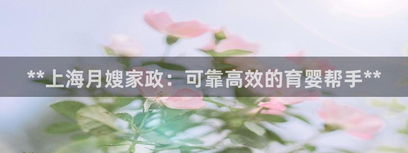 杏悦主管