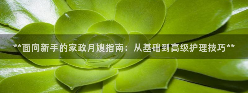 杏悦官方平台官网入口