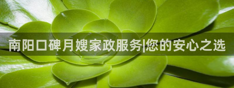 杏悦平台代理怎么赚钱