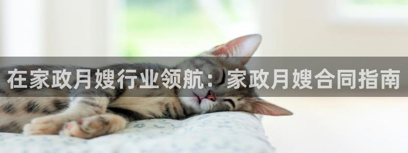 杏悦官网